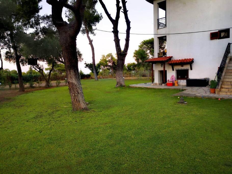 Golden Summer Apartment เนอาโฟเกีย ภายนอก รูปภาพ
